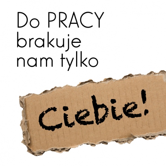 Twoja pierwsza praca? Kielce - Doradca 