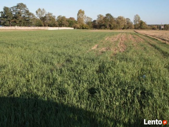 LIPNICA- Sprzedam dużą działkę budowlaną 5000m2 !